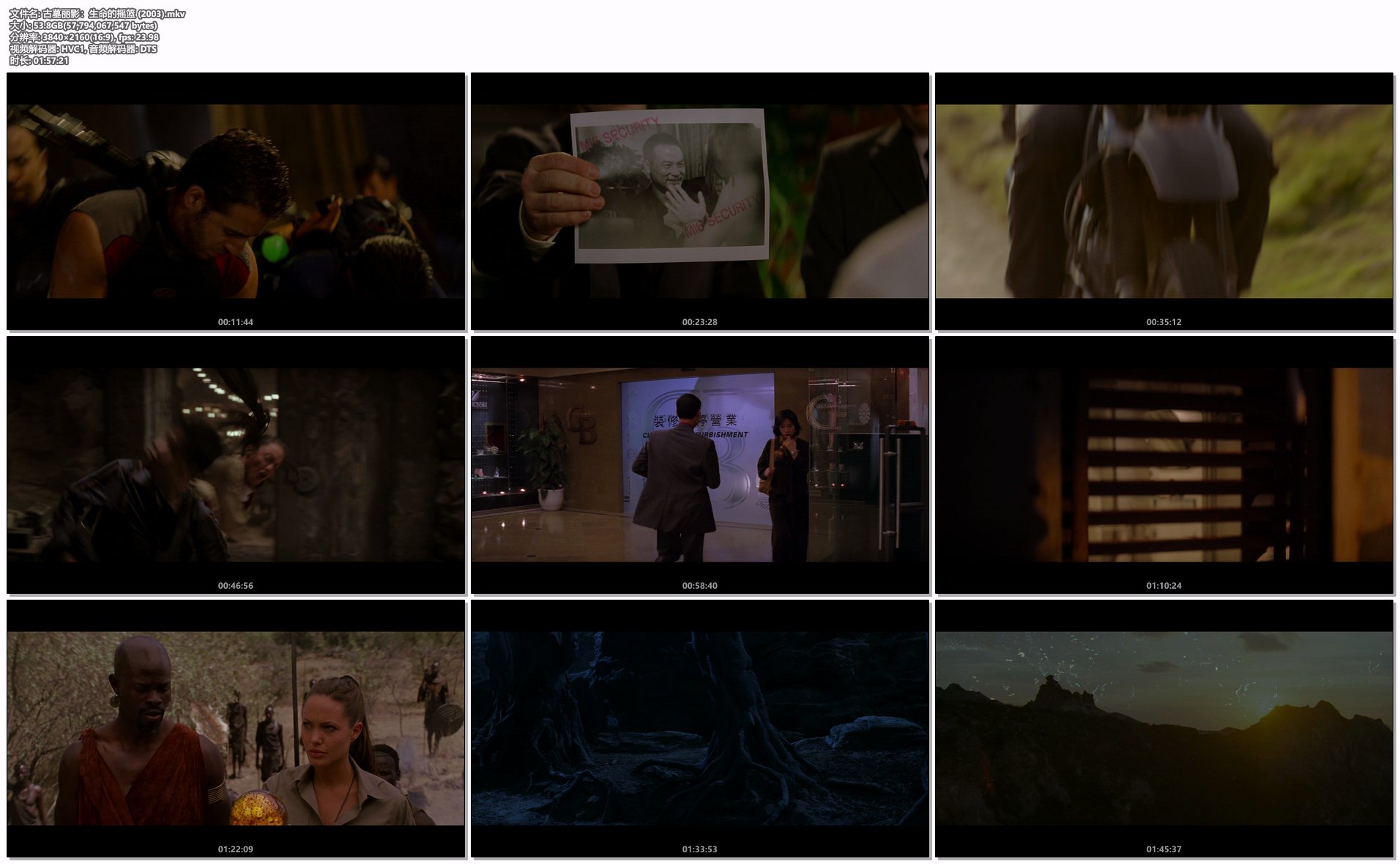 古墓丽影：生命的摇篮 (2003).mkv.png