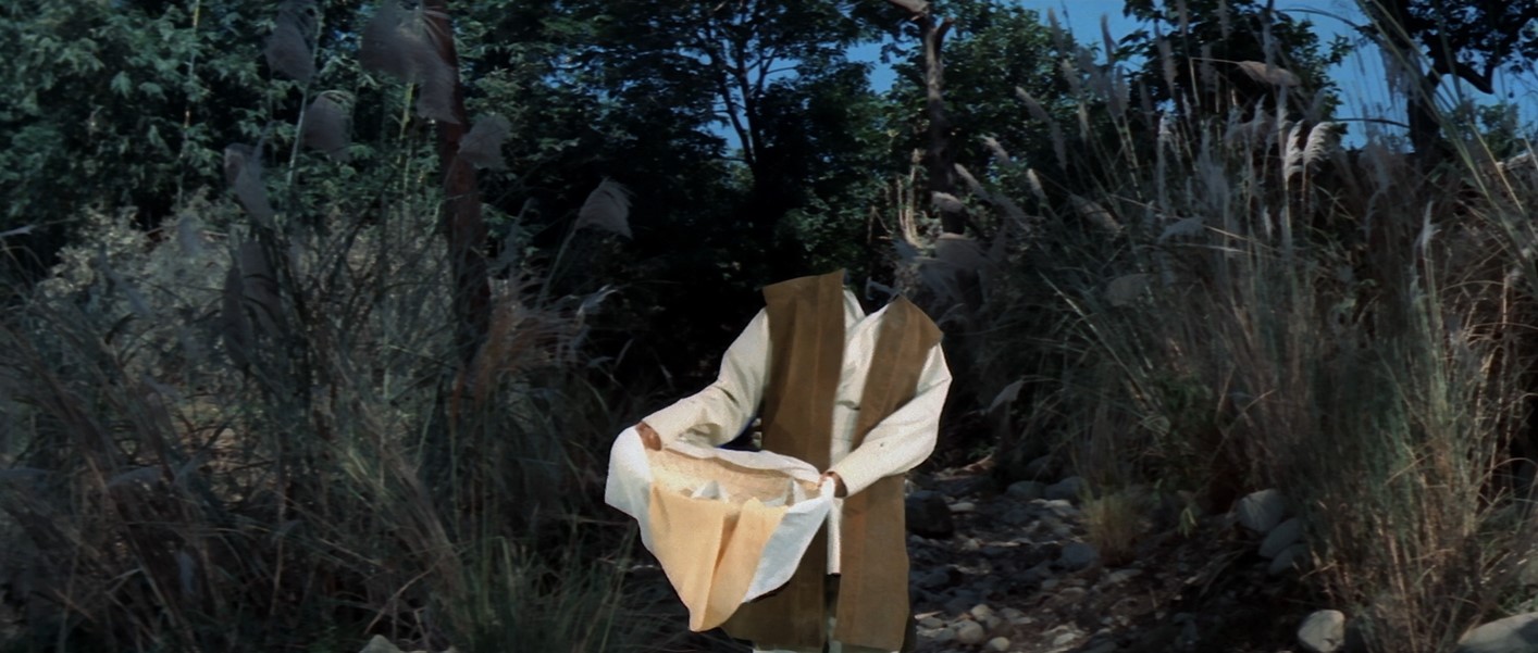 屏幕截图 2025-05-01 132831.jpg