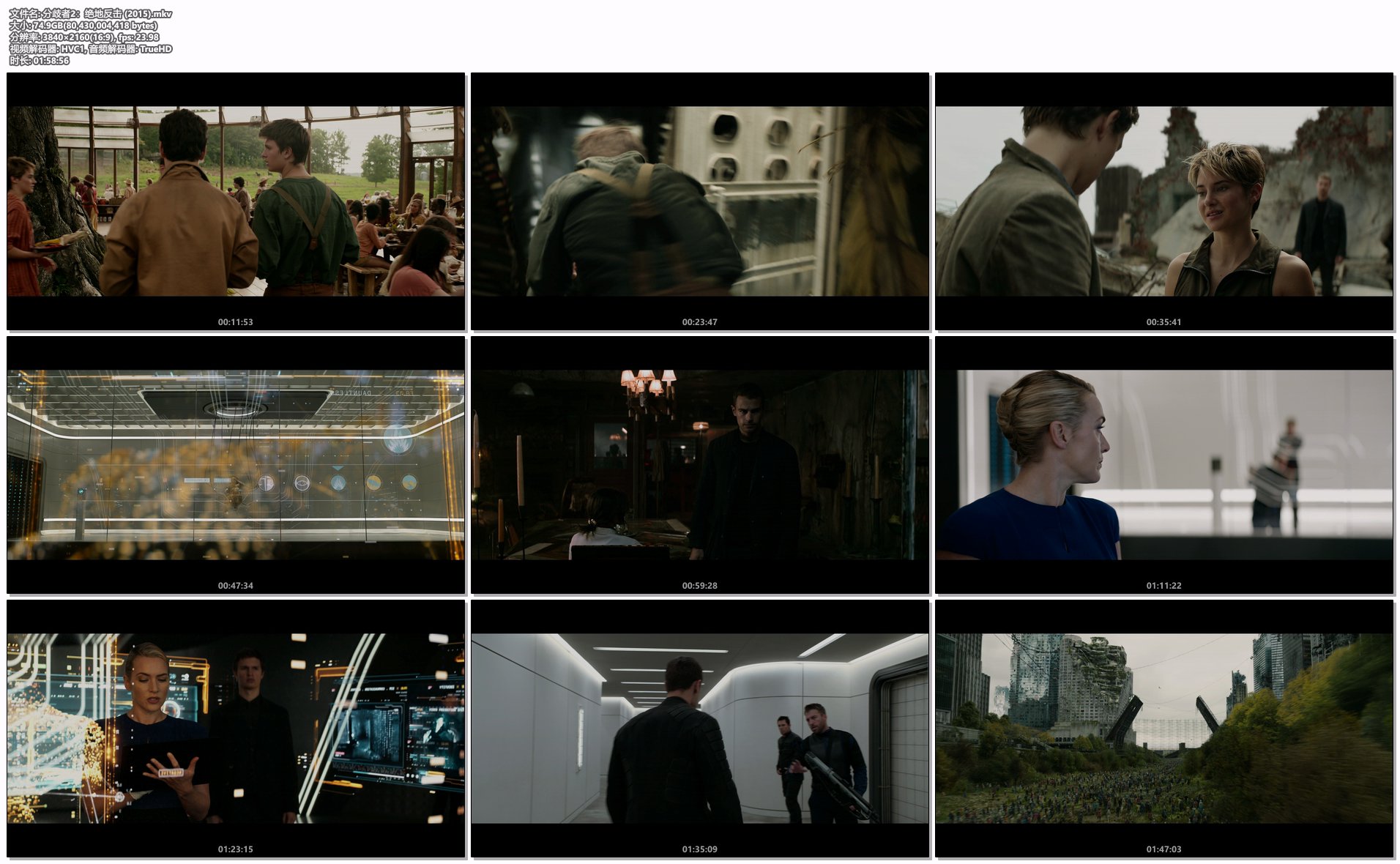 分歧者2：绝地反击 (2015).mkv.png