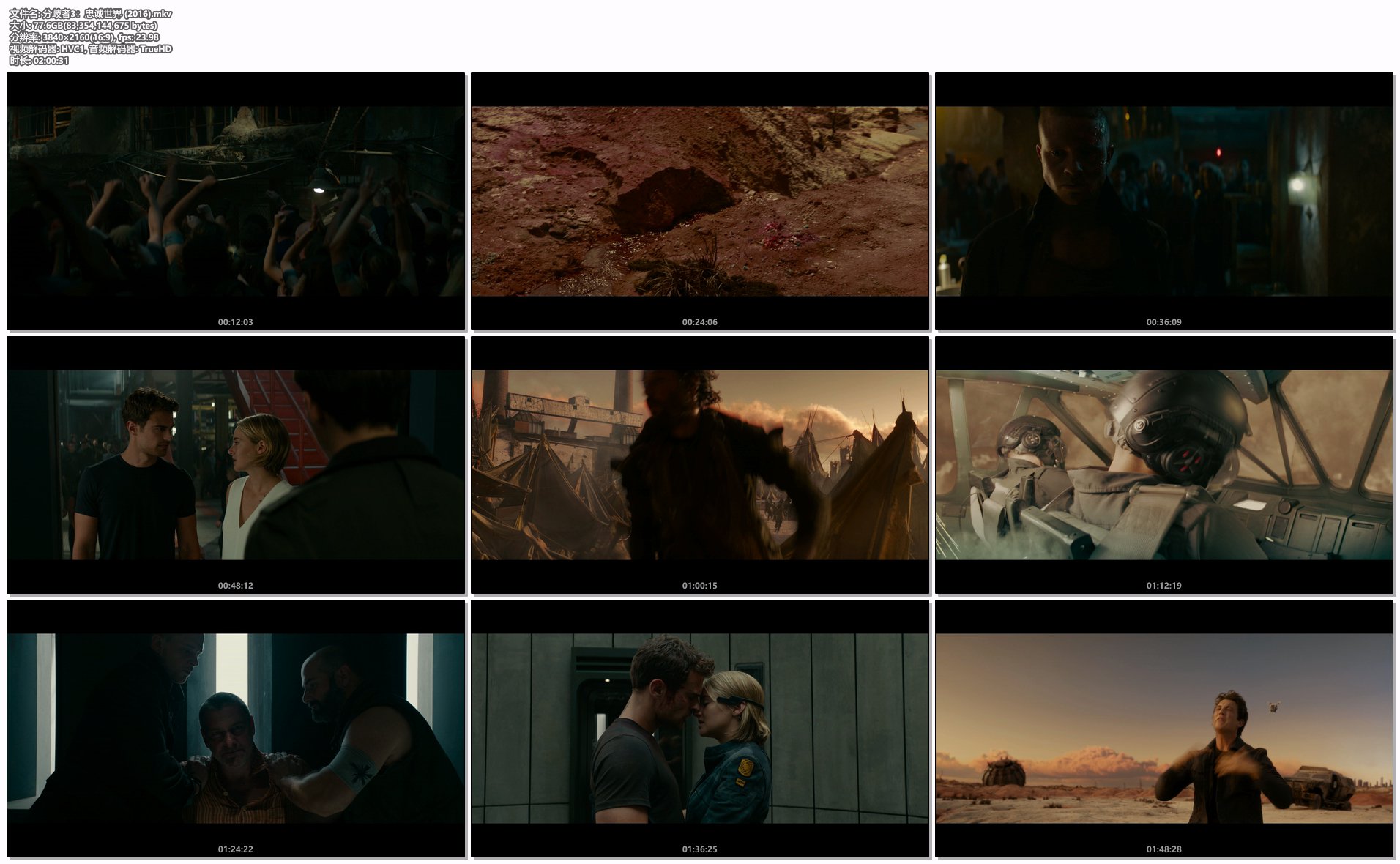 分歧者3：忠诚世界 (2016).mkv.png