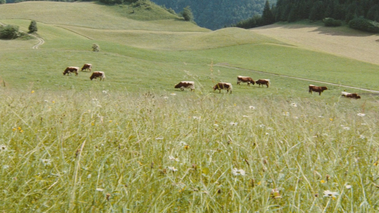 初吻2.苏菲·玛索.la.boum.2.1982.720p.bluray.x264.dts-wiki (1).mkv_20250505_193832.466.jpg