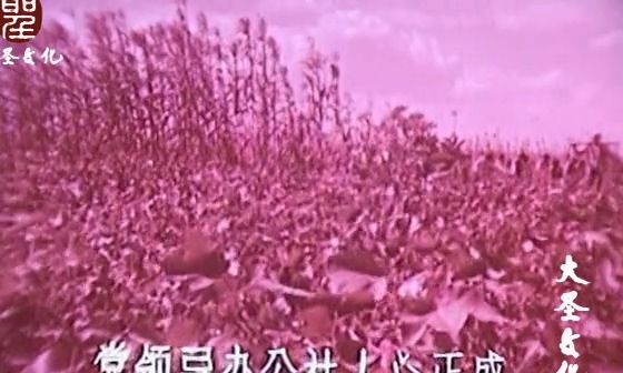 战洪图（1966年版本）.Scene of Fighting Against Flood.1966.DVD.X264.AAC.HALFCD.mk.jpg