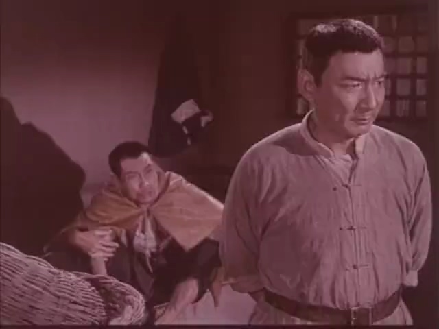 战洪图.Zhan hong tu.1973.DVD.X264.AAC.HALFCD.mkv_20250506_163539.728.jpg