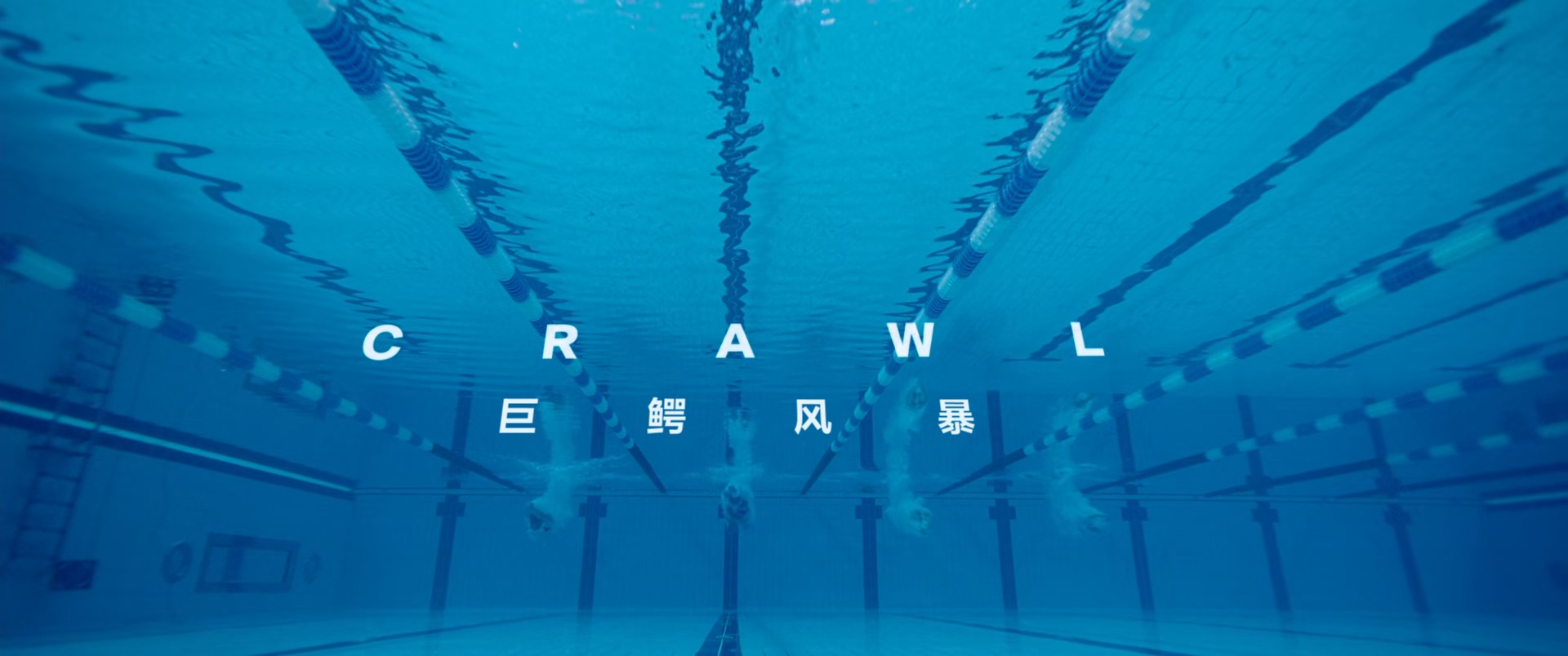 巨鳄风暴.Crawl.2019.1080p.BluRay.x265.2audio-RARBG特效字幕.mkv_20250507_101457.700.jpg