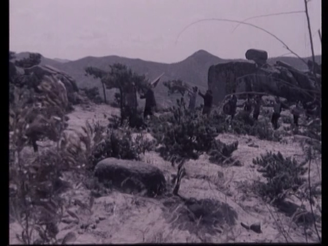 山菊花 1982.mp4_20250508_145319.974.jpg