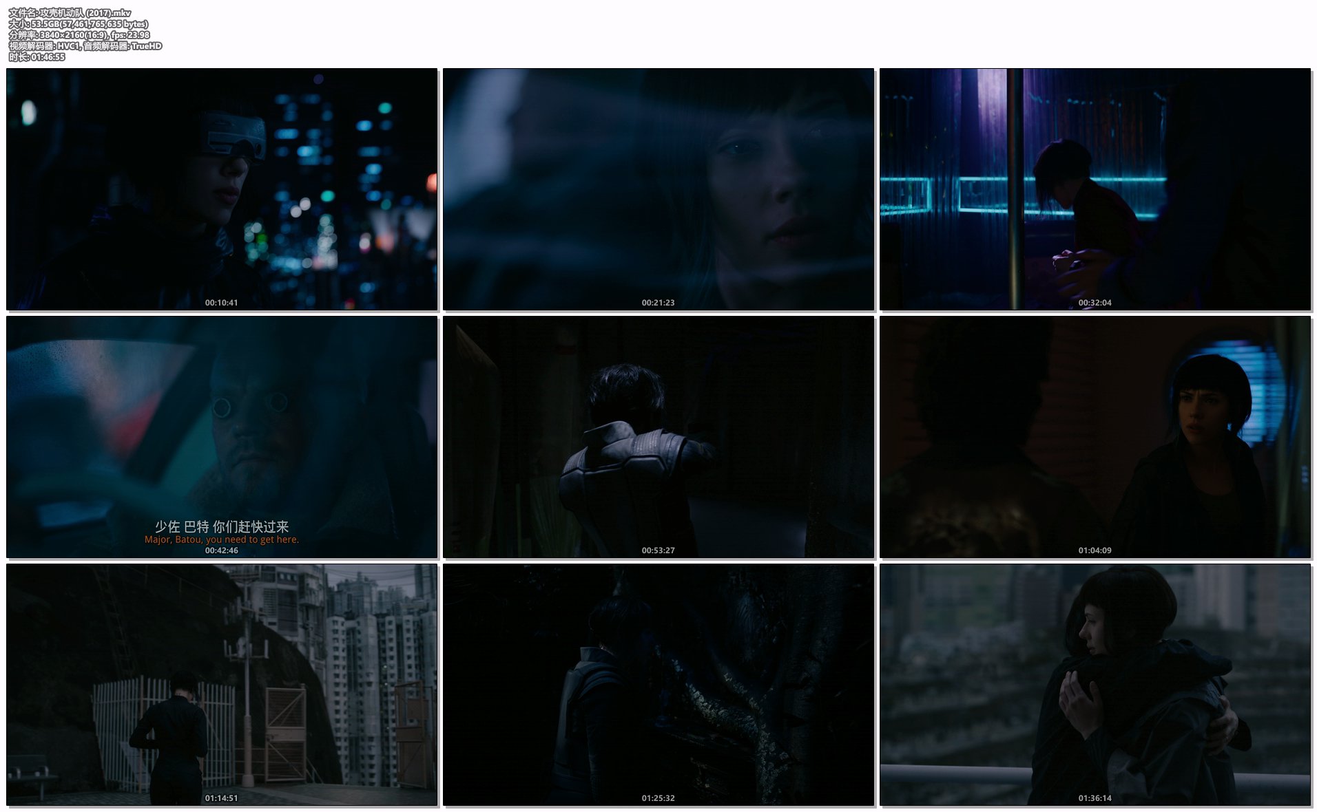 攻壳机动队 (2017).mkv.png