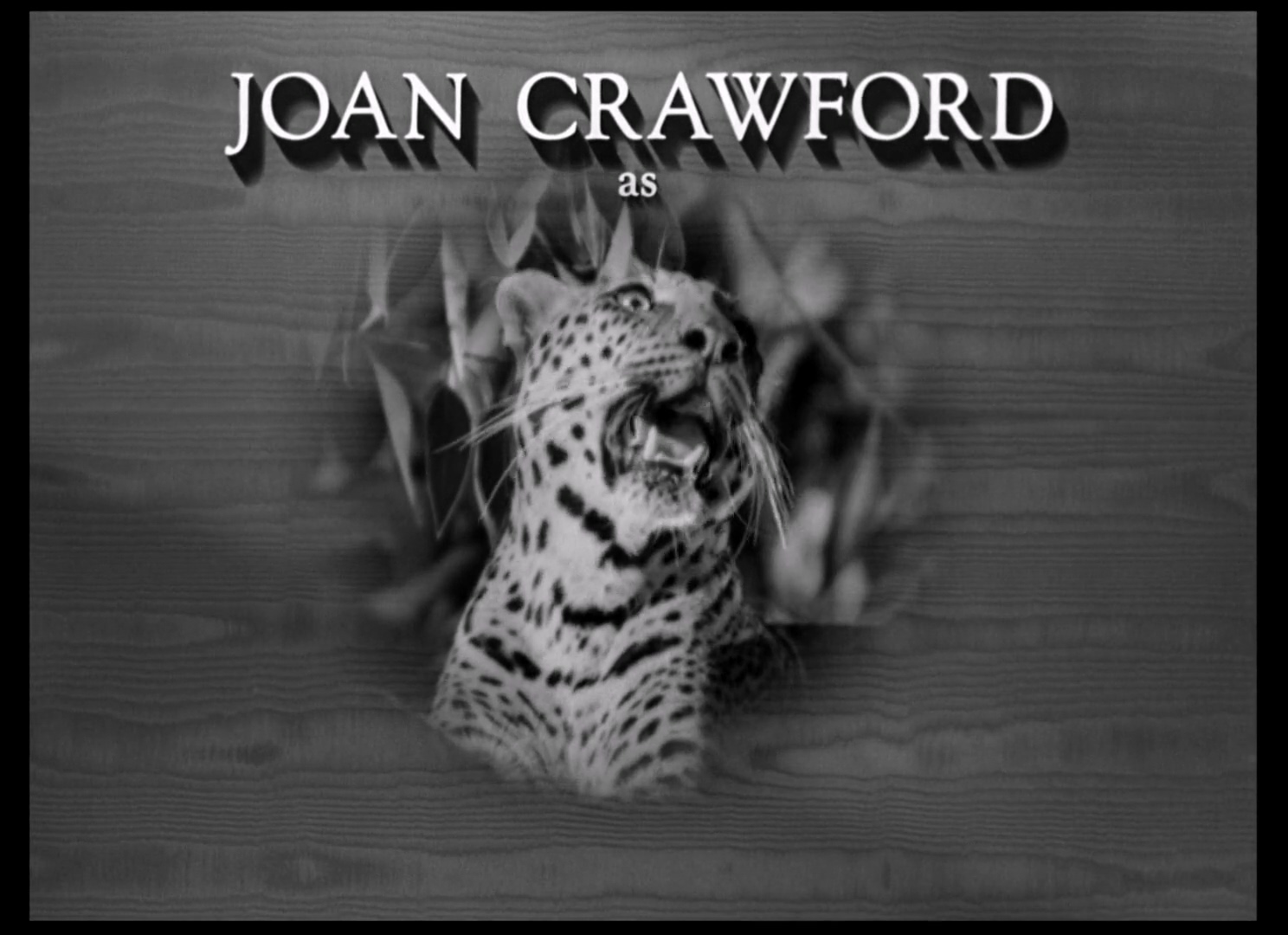 女人们(淑女争宠记).The Women.1939.国英双语.中英双字.BluRay.1080p.X264.AC3 (1).mk.jpg