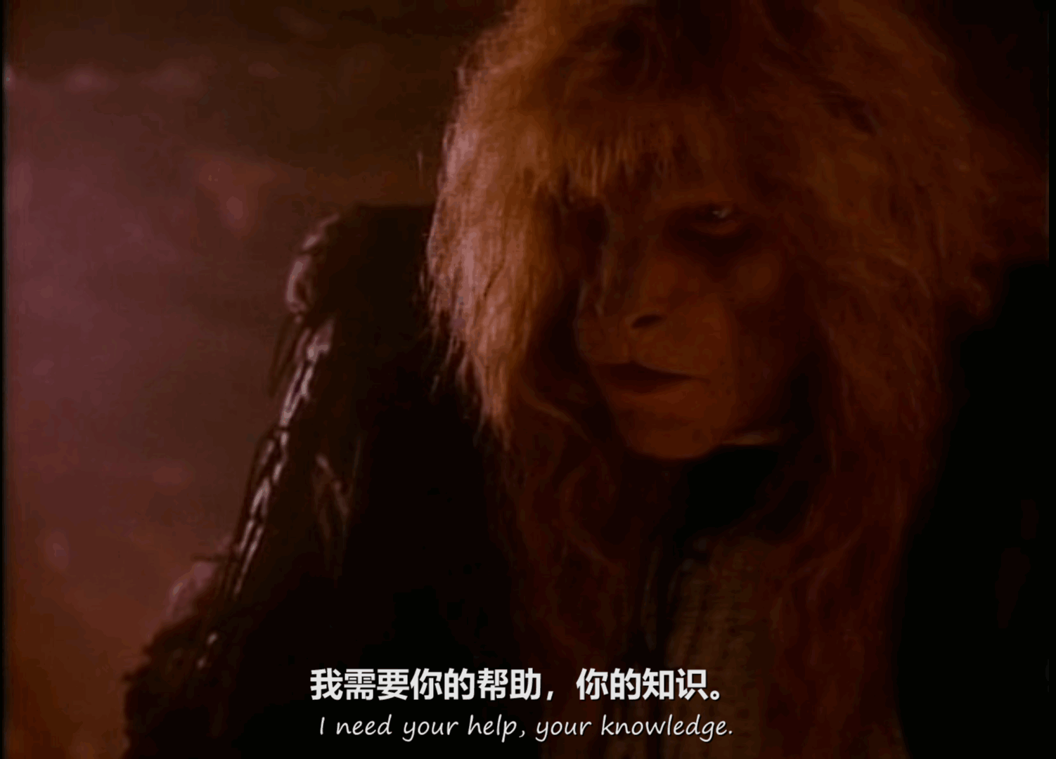 QQ截图20250510001635 (1).png