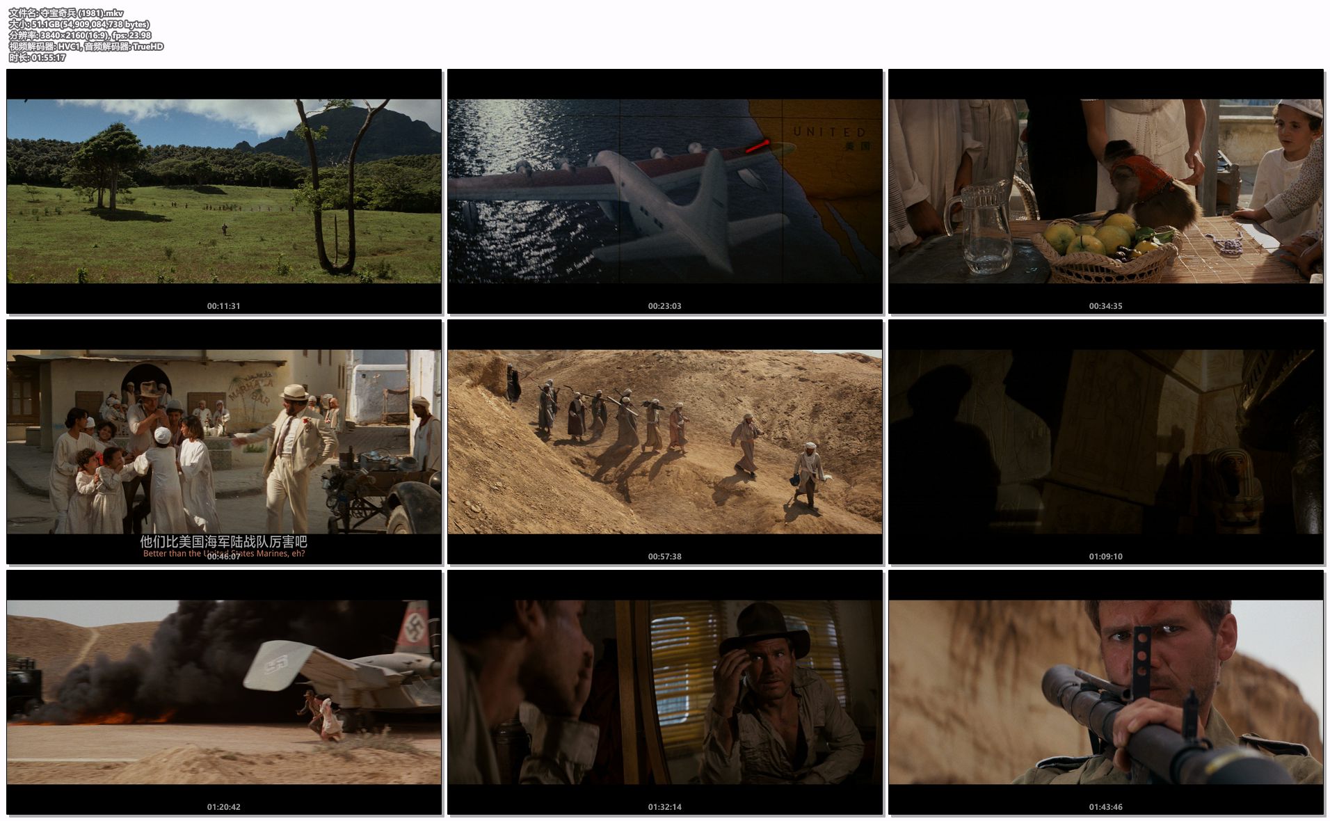 夺宝奇兵 (1981).mkv.png