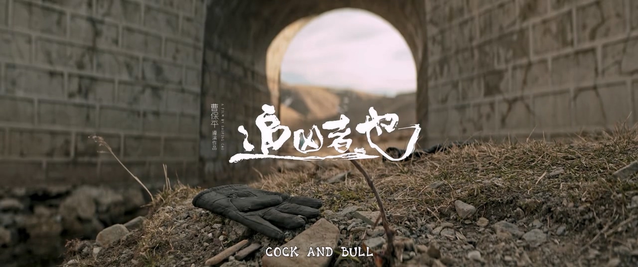 追凶者也.Cock.and.Bull.2016.HD720P.X264.AAC.Mandarin.CHS-ENG.Mp4Ba.mp4_20250510_.jpg