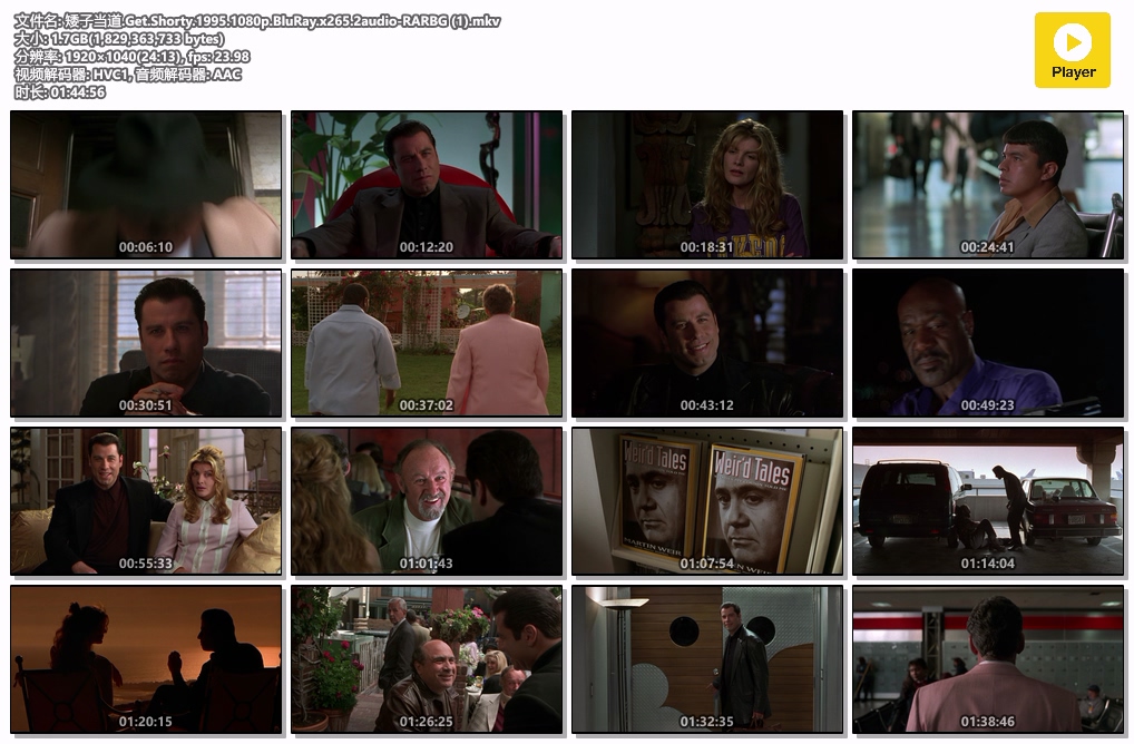 矮子当道.Get.Shorty.1995.1080p.BluRay.x265.2audio-RARBG (1).mkv.jpg