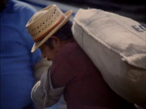 美标-毒蜘蛛1997 国.mp4_20250510_154042.042.jpg