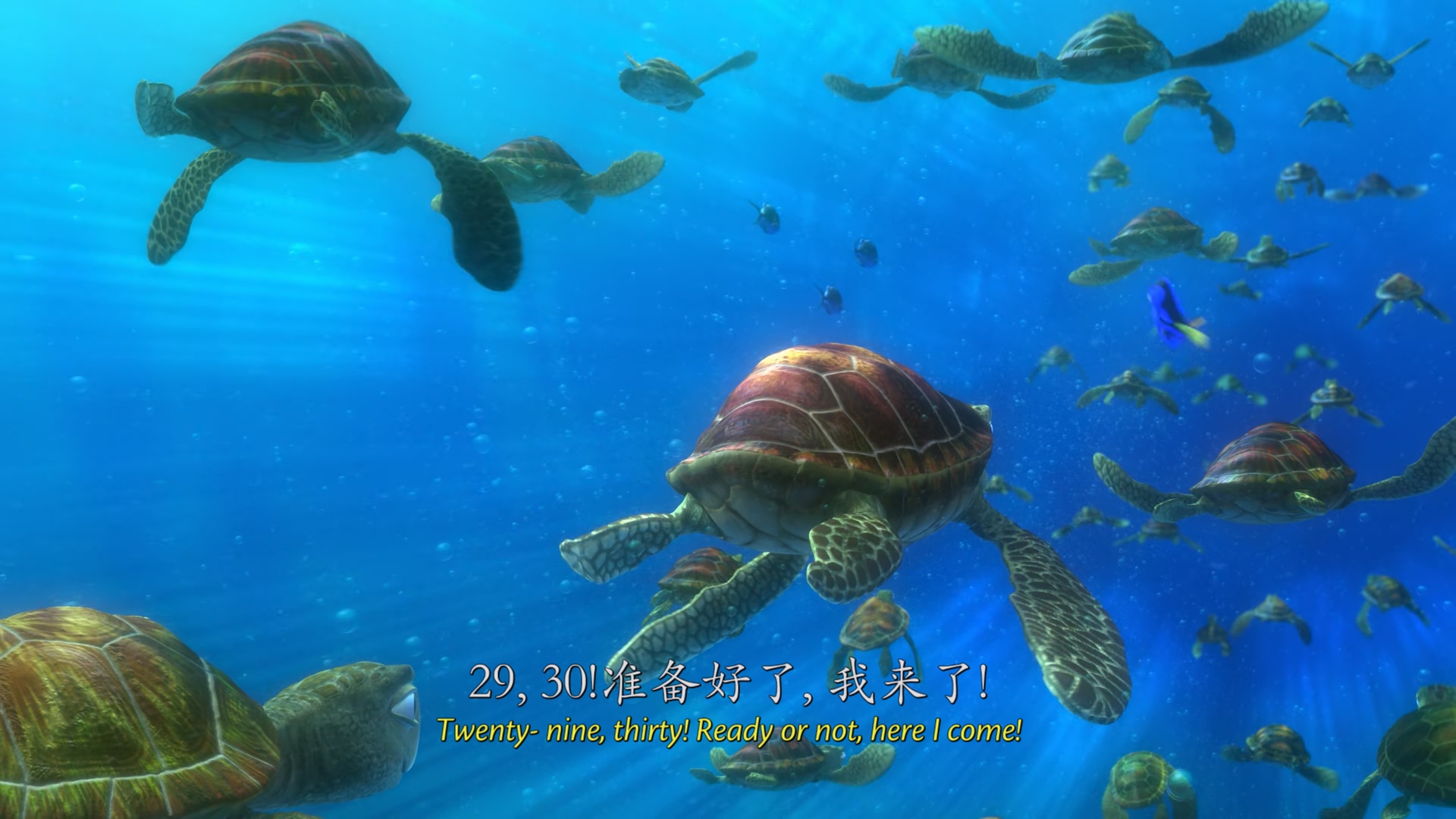 海底总动员 Finding Nemo (2003).mkv_20250510_223053.913.jpg