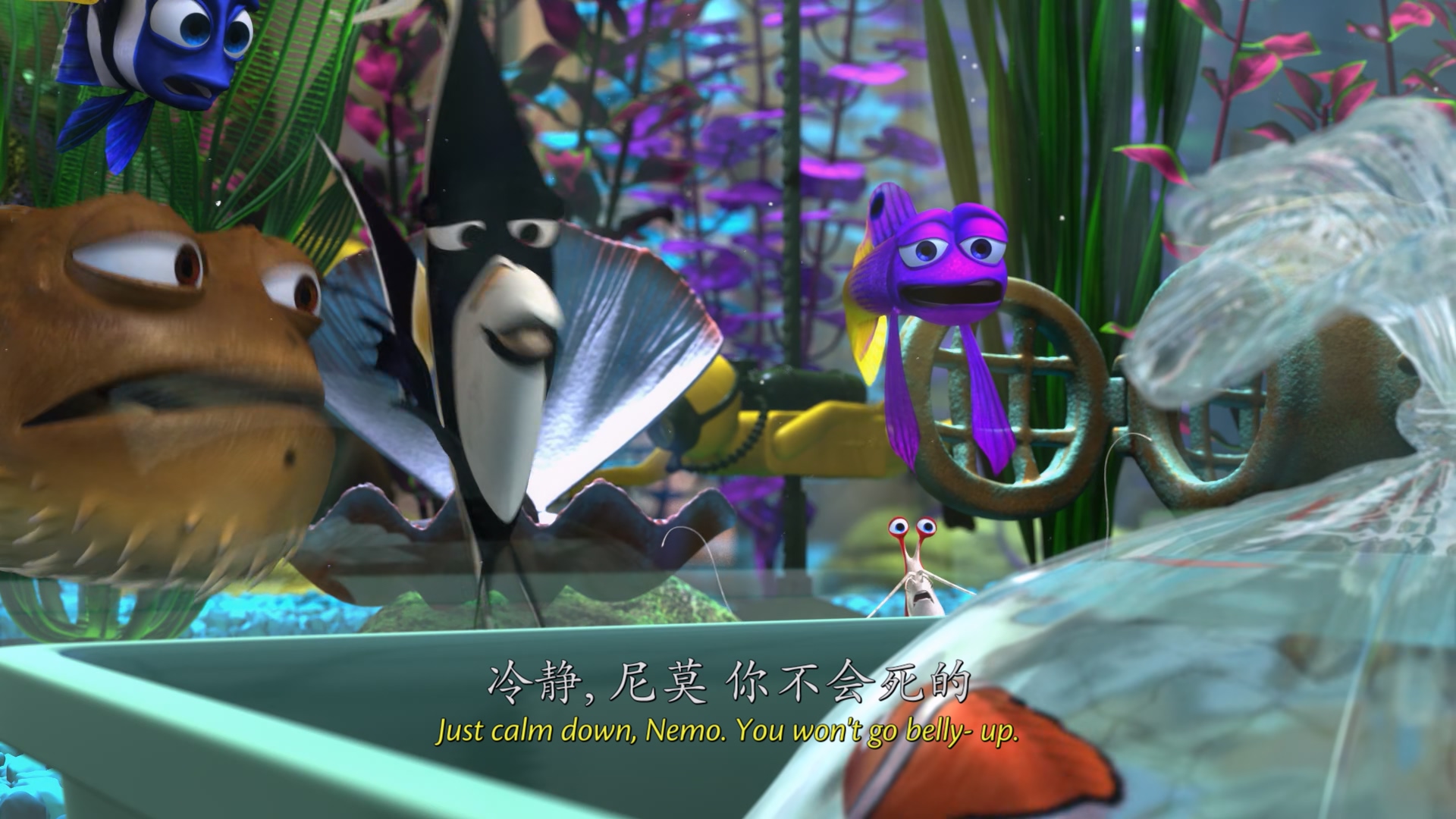 海底总动员 Finding Nemo (2003).mkv_20250510_223055.627.jpg