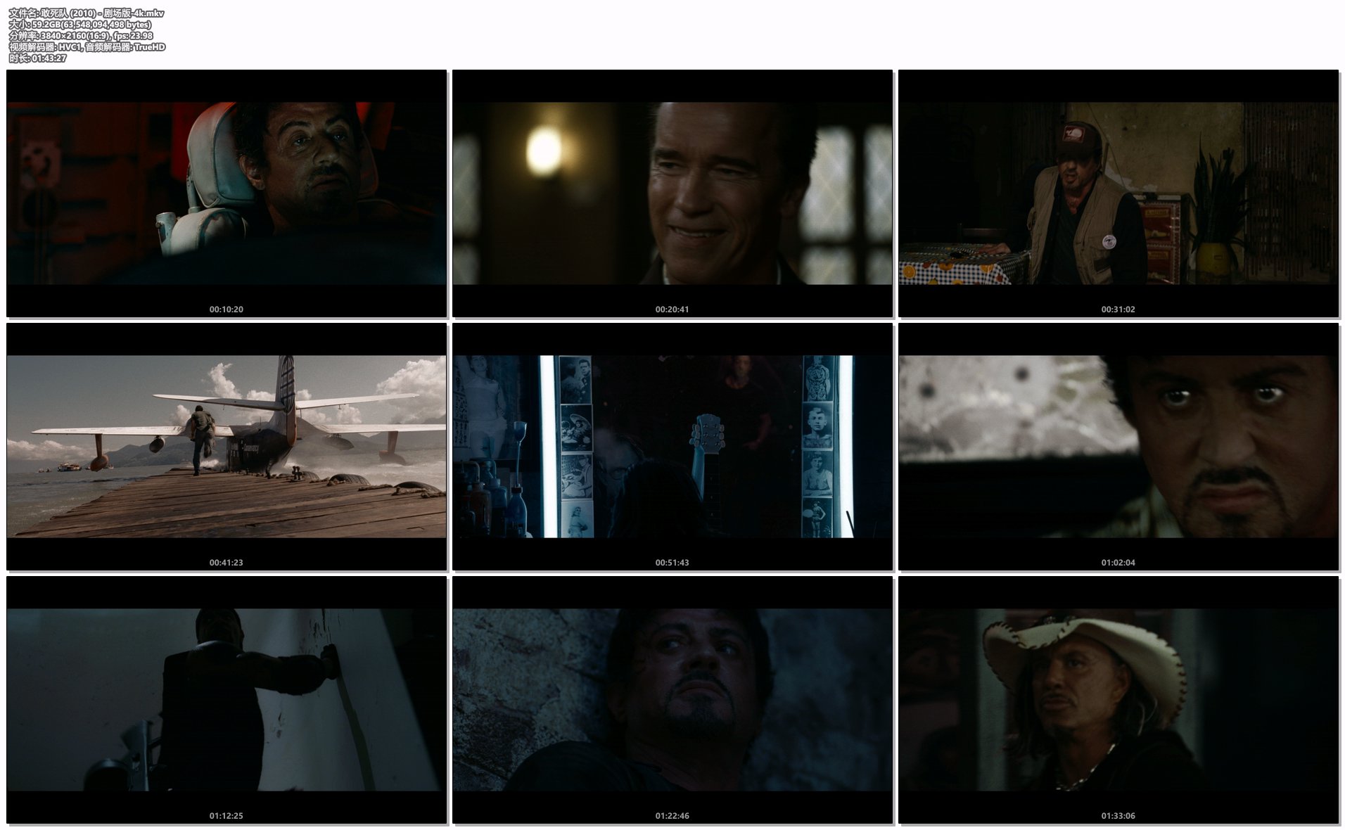 敢死队 (2010) - 剧场版-4k.mkv.png