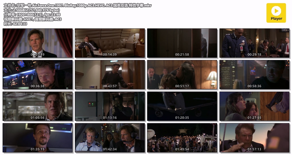 空军一号.Air.Force.One.1997. BluRay.1080p.AC3.HEVC. AC3.国英双语.特效字幕.mkv.jpg