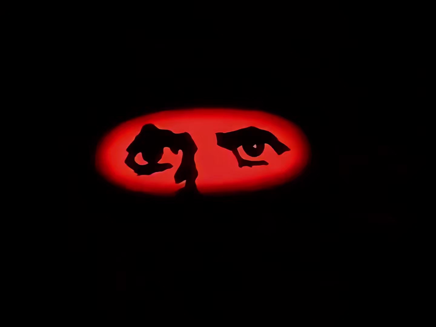 1988 毕加索与公牛.mp4_20250512_194452.198.jpg