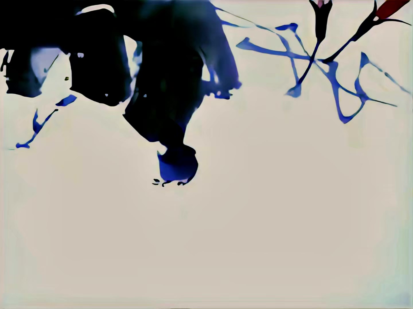 1960 水墨动画.mp4_20250512_203552.257.jpg
