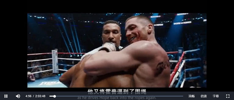 988铁拳 2015 (2).jpg