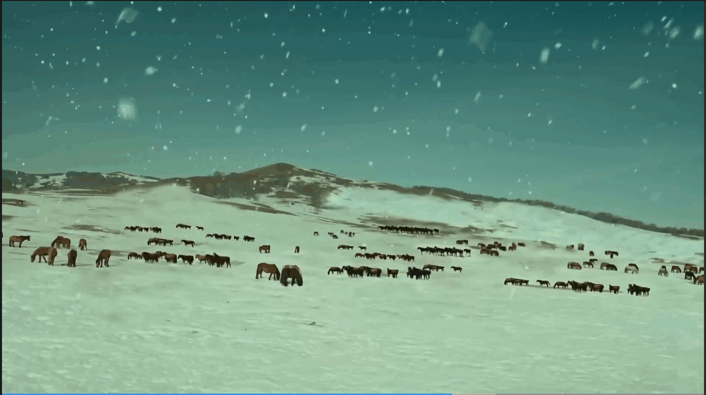 QQ截图20250514201513 (1).png