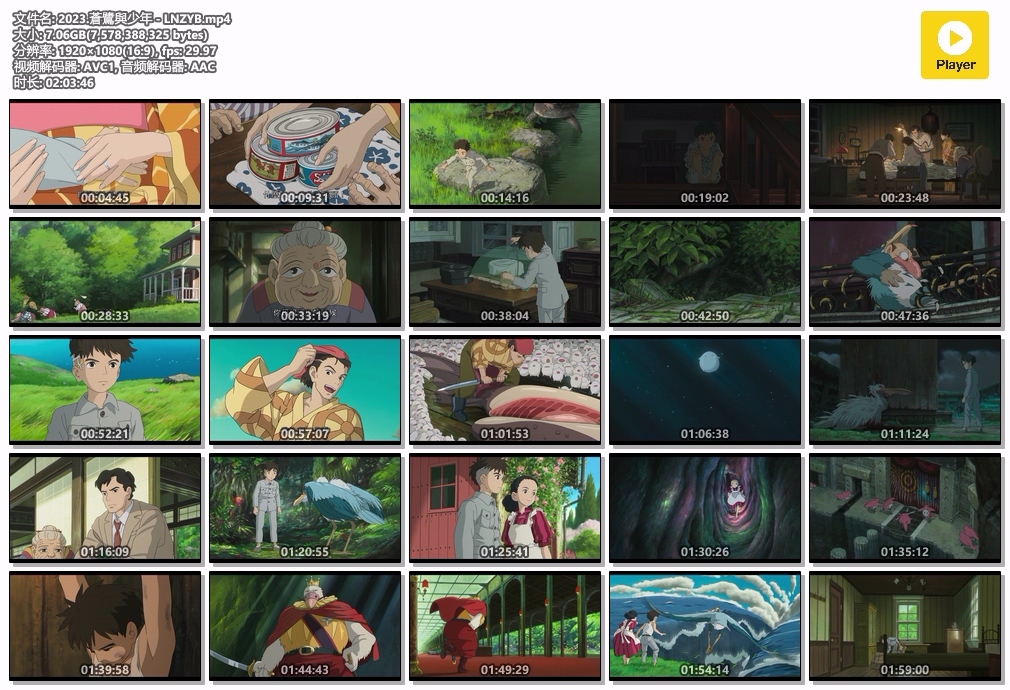 2023.蒼鷺與少年 - LNZYB.mp4.jpg