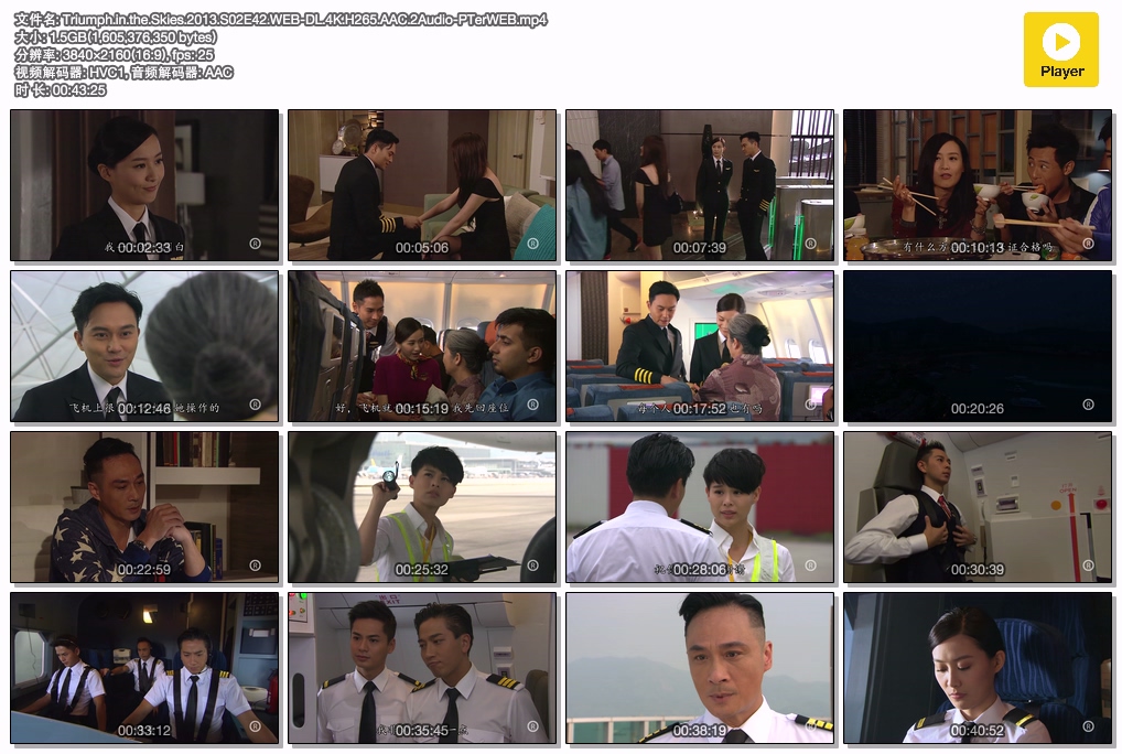 Triumph.in.the.Skies.2013.S02E42.WEB-DL.4K.H265.AAC.2Audio-PTerWEB.mp4.jpg