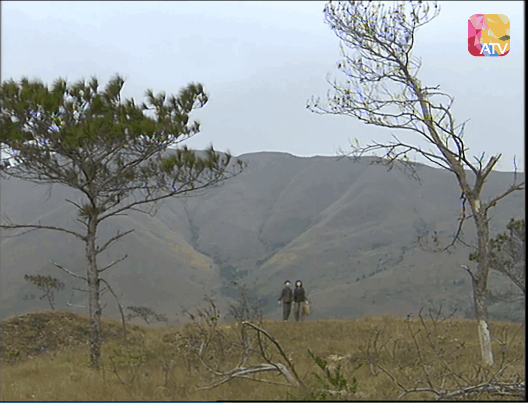 QQ截图20250510232423 (1).png