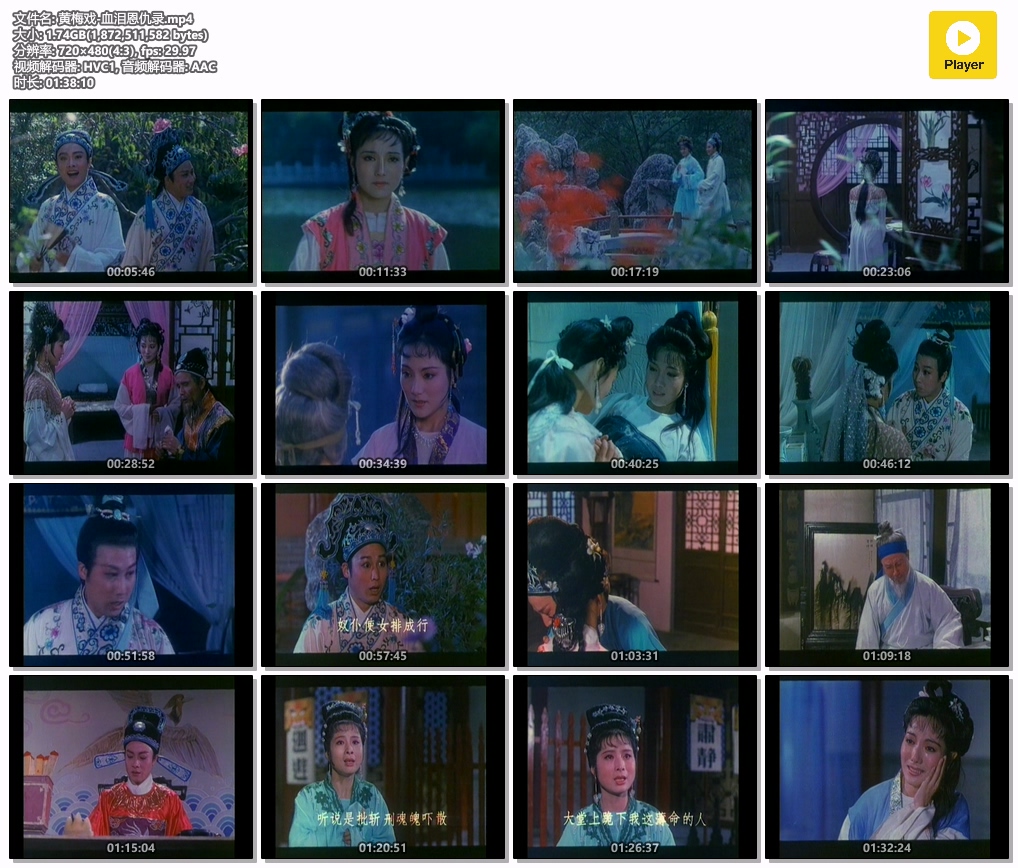 黄梅戏-血泪恩仇录.mp4.jpg