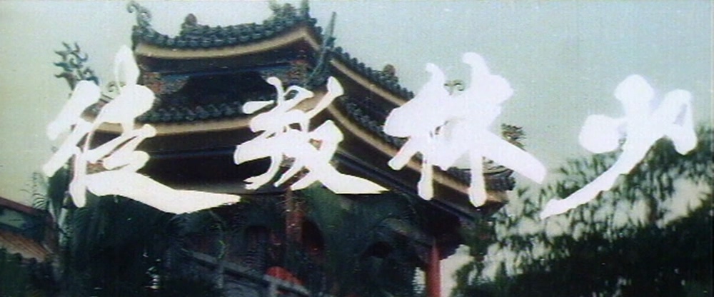 少林叛徒.1977.DVDRip.1AC3.HKFACT.mkv_20250518_230458.571.jpg