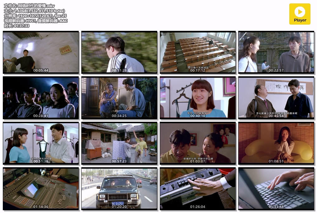 网络时代的爱情.mkv.jpg