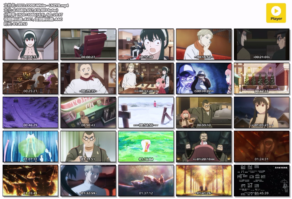 2023.CODE White - LNZYB.mp4.jpg