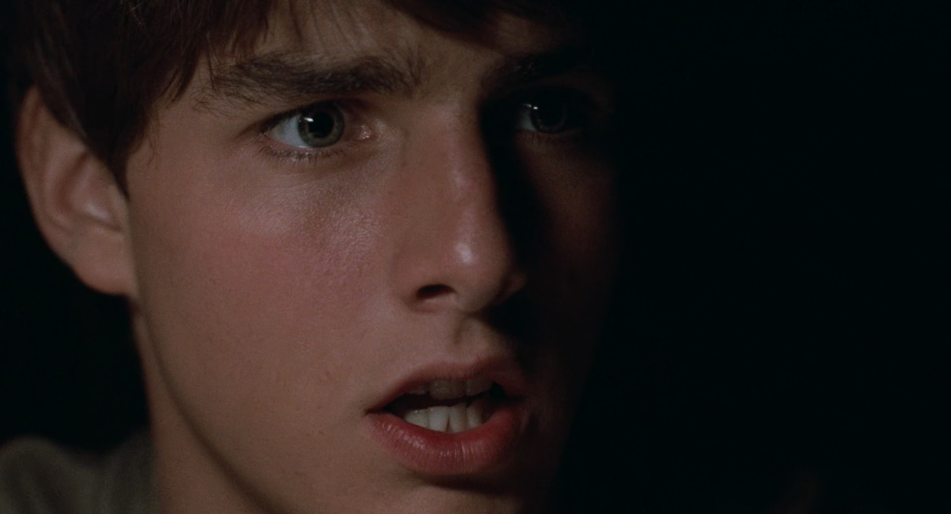 Risky.Business.1983.2160p.4K.BluRay.x265.10bit.AAC5.1-[YTS.MX] -bylh.mkv_2025052.jpg