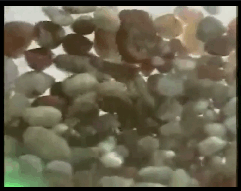 QQ截图20250524224732 (1).png