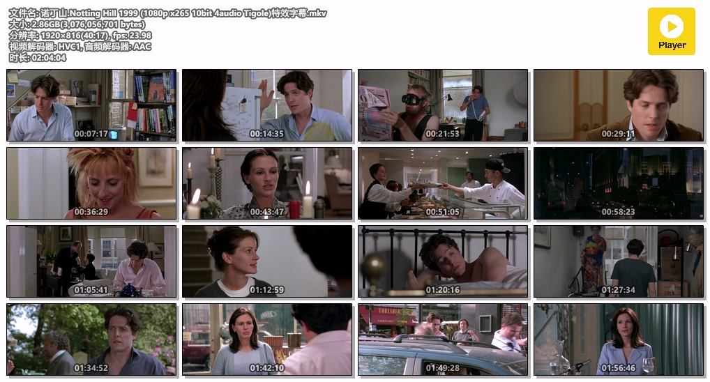 诺丁山.Notting Hill 1999 (1080p x265 10bit 4audio Tigole)特效字幕.mkv.jpg