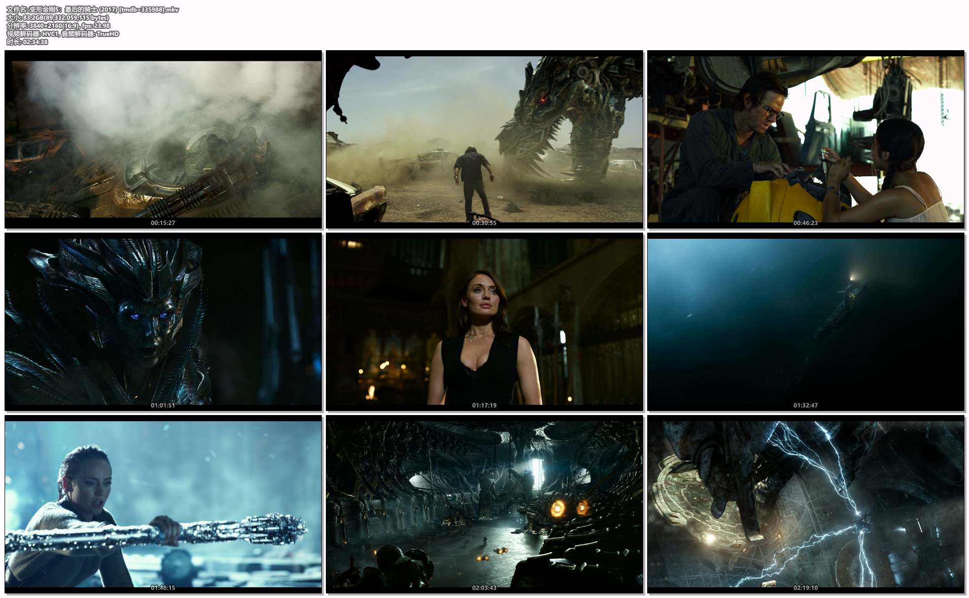 变形金刚5：最后的骑士 (2017) [tmdb=335988].mkv.png