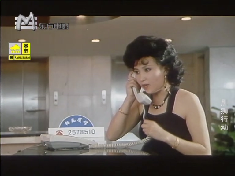 黑狮行动.1993.mkv_20250526_205948.035.jpg