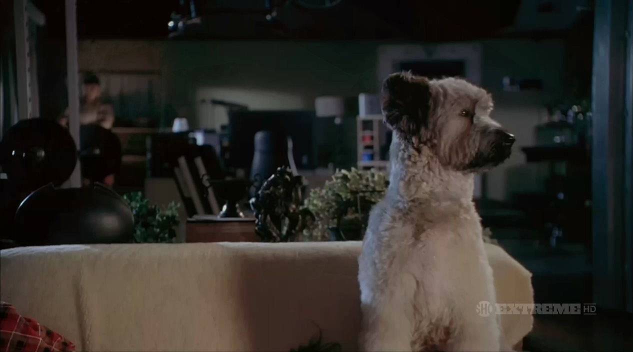 功夫神犬 (2006) 720p [AAC, AC3] [zho, eng] h264.mkv_20250526_230702.916.jpg