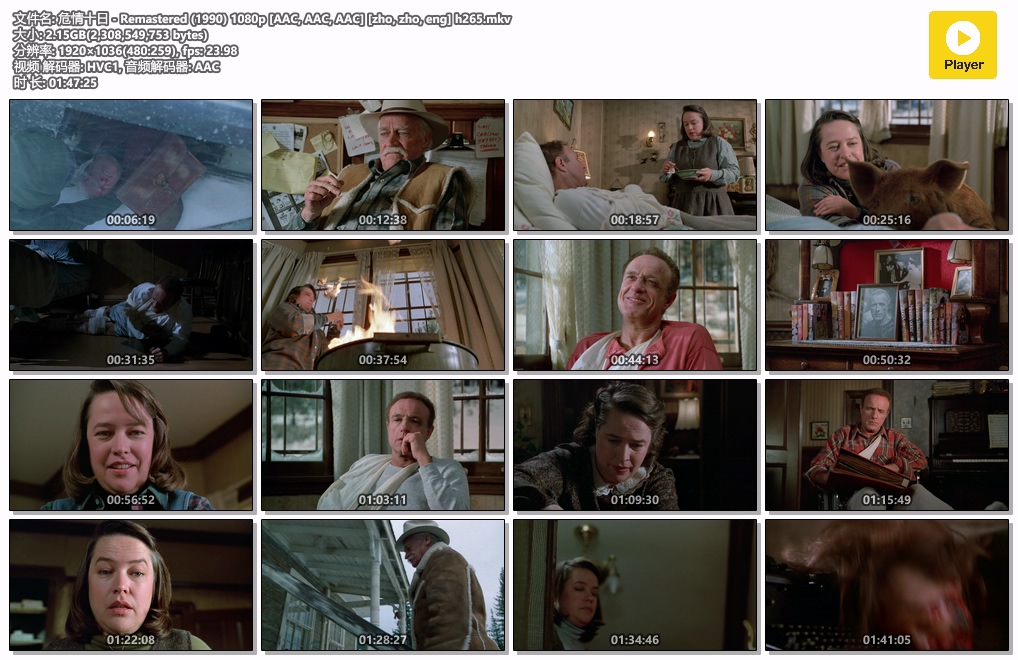 危情十日 - Remastered (1990) 1080p [AAC, AAC, AAC] [zho, zho, eng] h265.mkv.jpg