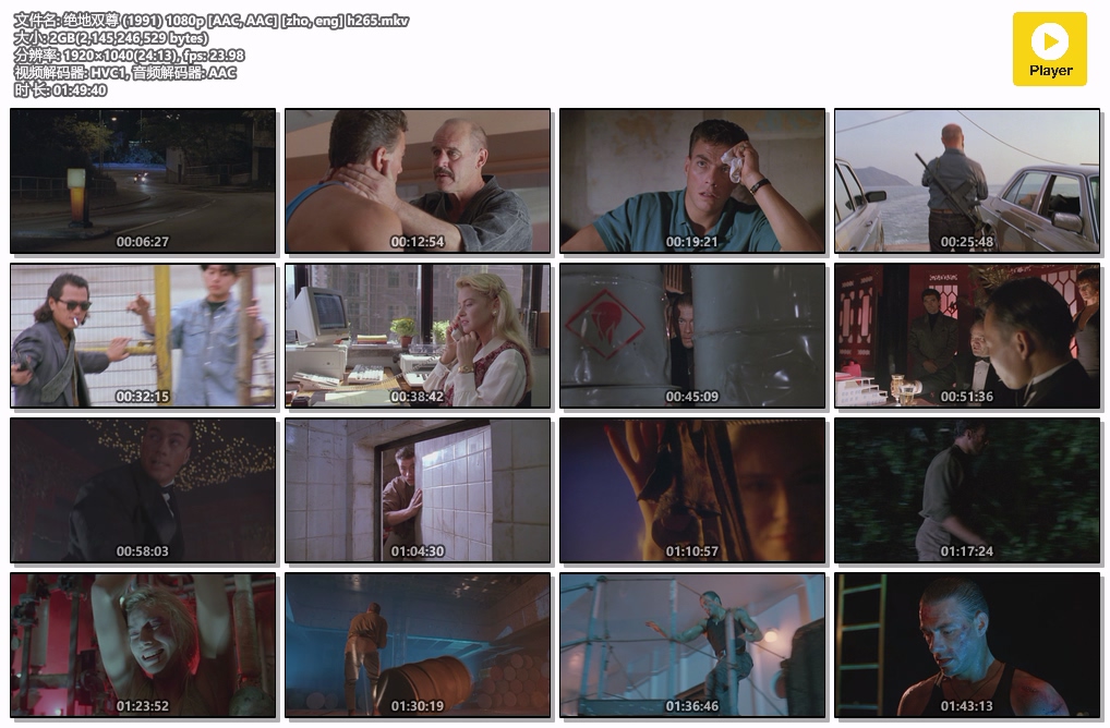 绝地双尊 (1991) 1080p [AAC, AAC] [zho, eng] h265.mkv.jpg