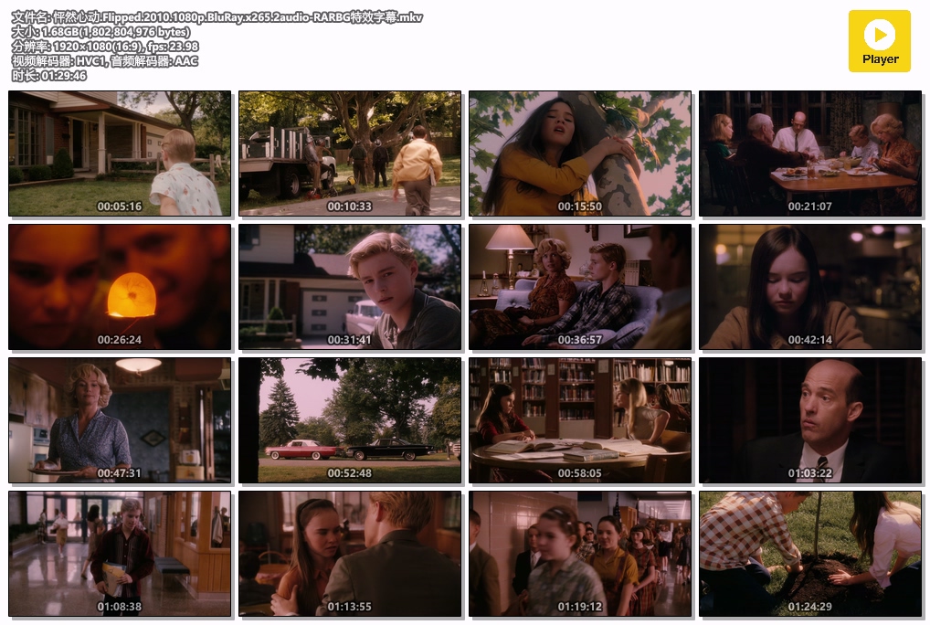 怦然心动.Flipped.2010.1080p.BluRay.x265.2audio-RARBG特效字幕.mkv.jpg