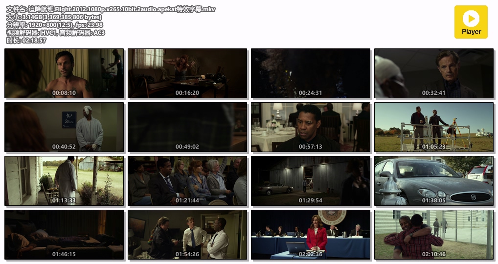 迫降航班.Flight.2012.1080p.x265.10bit.2audio.apekat特效字幕.mkv.jpg