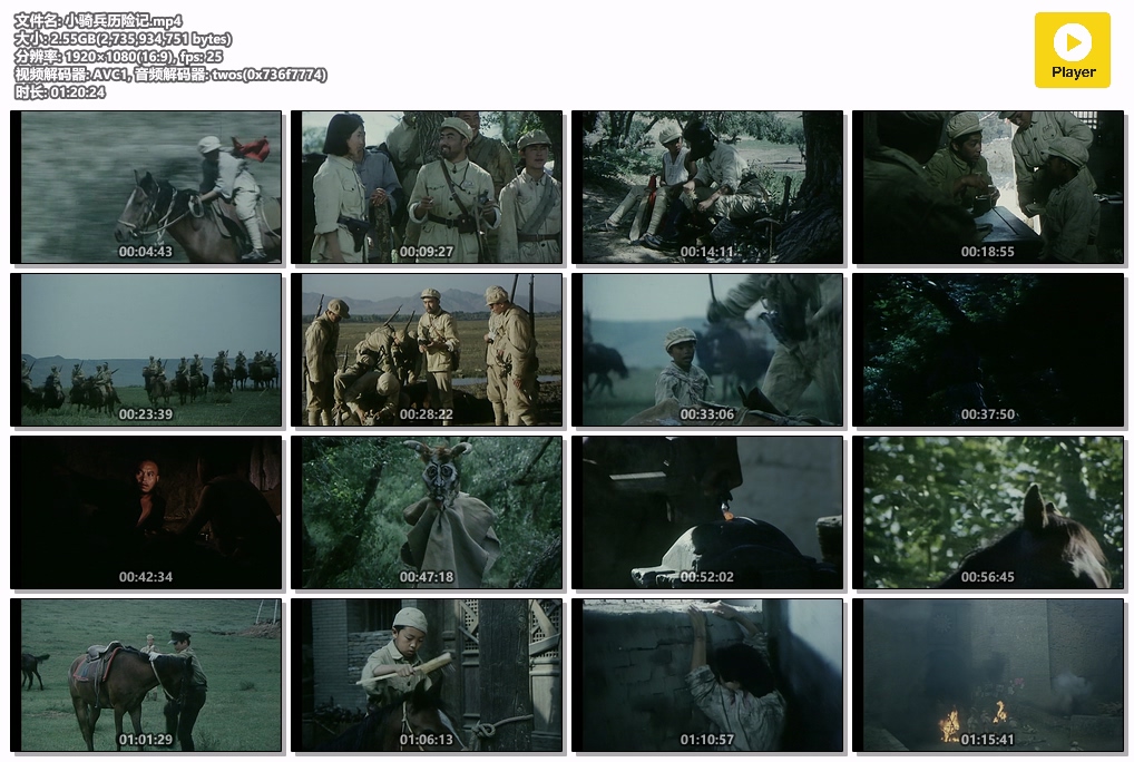 小骑兵历险记.mp4.jpg
