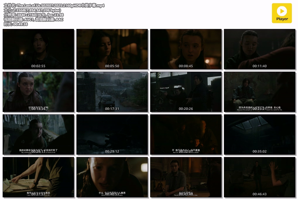 The.Last.of.Us.S02E07.2025.2160pHDR中英字幕.mp4.jpg