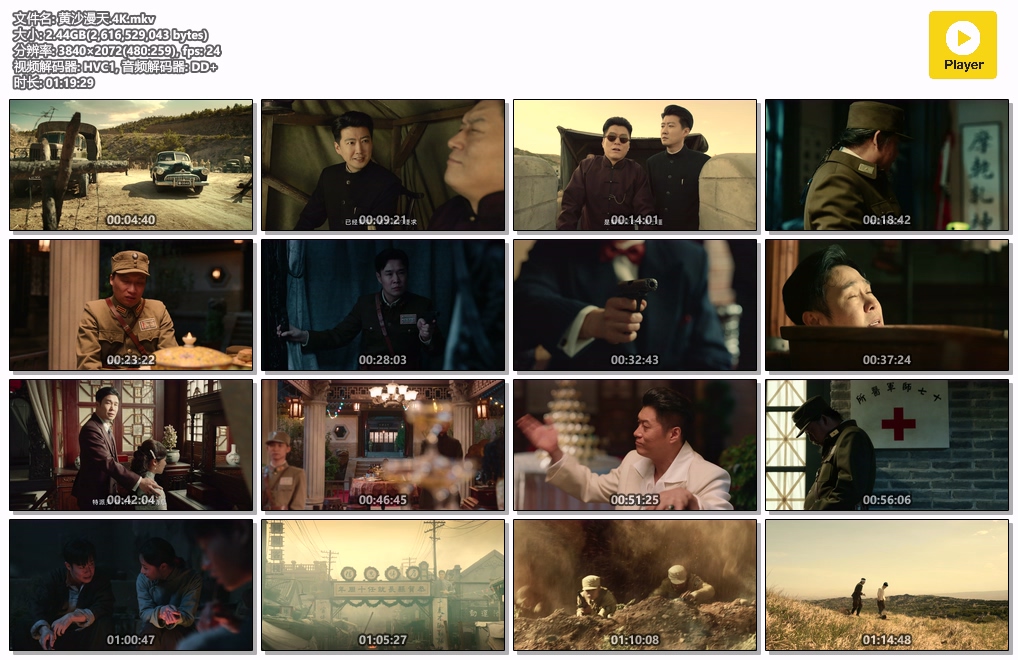 黄沙漫天.4K.mkv.jpg