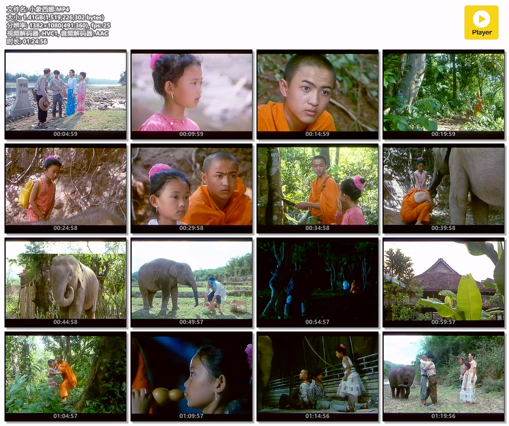 小象西娜.MP4.jpg