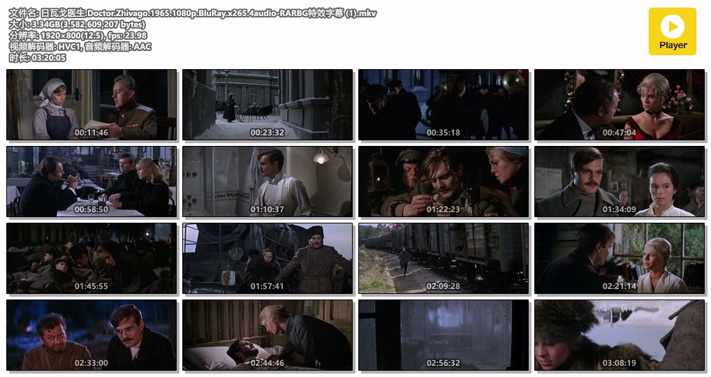 日瓦戈医生.Doctor.Zhivago.1965.1080p.BluRay.x265.4audio-RARBG特效字幕 (1).mkv.jpg