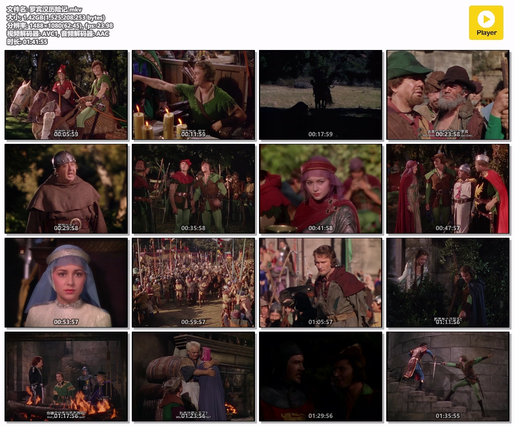 罗宾汉历险记.mkv.jpg