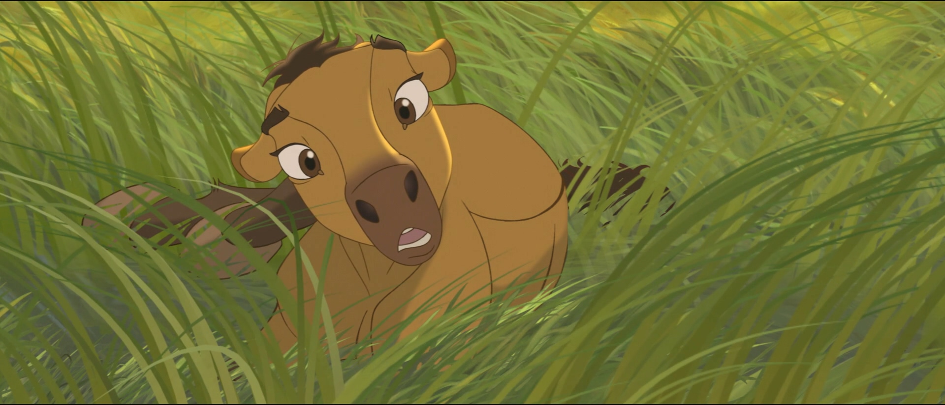 Spirit.Stallion.of.the.Cimarron.2002.1080p.BluRay.X264-AMIABLE -bylh.mkv_2025060.jpg