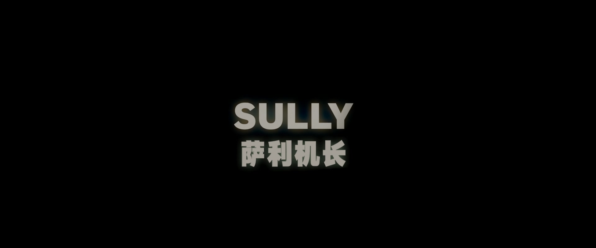 萨利机长.Sully.2016.1080p.x265.10bit.2audio.Tigole特效字幕.mkv_20250602_101513.831.jpg