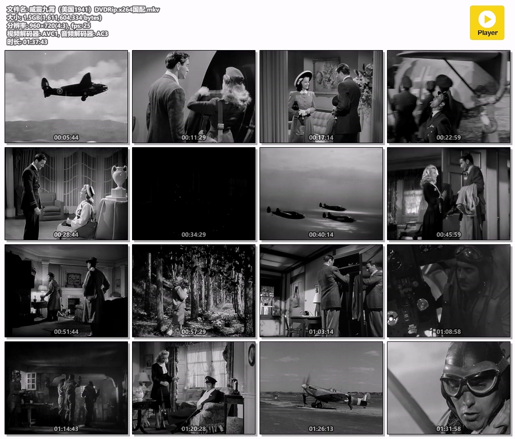 威震九霄（美国1941）DVDRip.x264国配.mkv.jpg